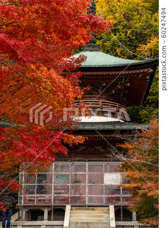 Autumn leaves in Kyoto 60247494