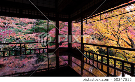 Authority Rurikoin 60247835