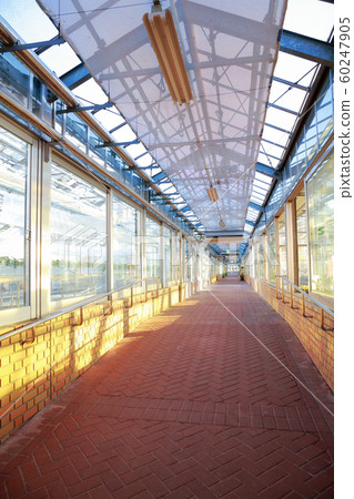 greenhouse greenhouse 60247905