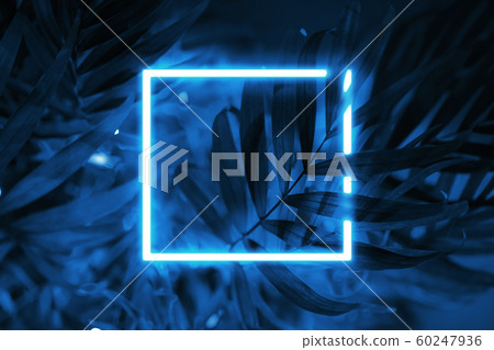 Tropical blue background neon square frame. Tropical blue background neon square frame. 60247936