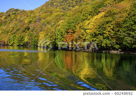洞爺湖中島紅葉（從遊船上觀看） 60248692