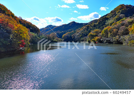 Autumn Lake Autumn Lake 60249457