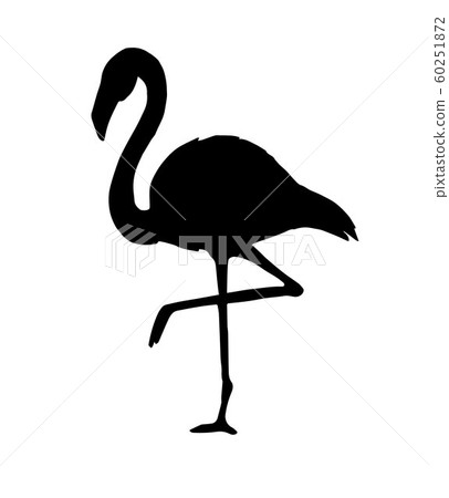 Vector black flamingo silhouette Vector black flamingo silhouette 60251872