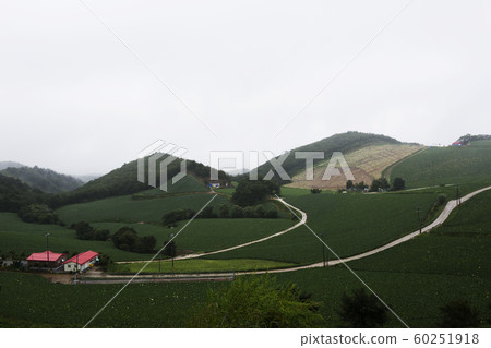Anbandong, Wangsan-myeon, Gangneung-si, Gangwon-do 60251918