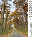 Late autumn mountain path 60253006