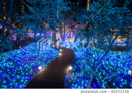  Enoshima Sea Candle Illuminated Shonan Jewelry 60253338