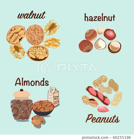 Vector hand drawn colorful set of nuts walnut 60255196