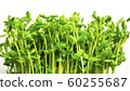 Soybean 60255687