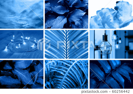 Creative collage tinted in blue color. 60256442
