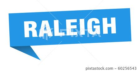 Raleigh sticker. Blue Raleigh signpost pointer Raleigh sticker. Blue Raleigh signpost pointer 60256543