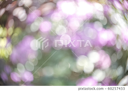 Blur bokeh of the green life. Blur bokeh of the green life. 60257433
