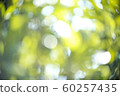 Blur bokeh of the green life. 60257435