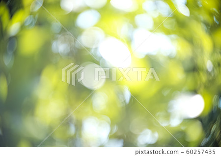 Blur bokeh of the green life. Blur bokeh of the green life. 60257435