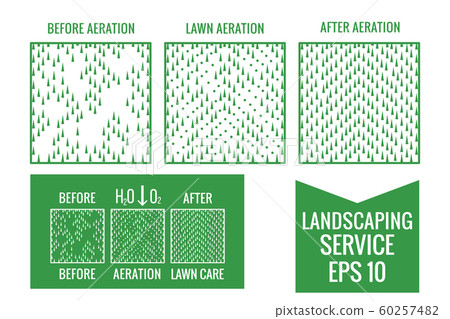 Top view Lawn Aeration service. Before and After 60257482