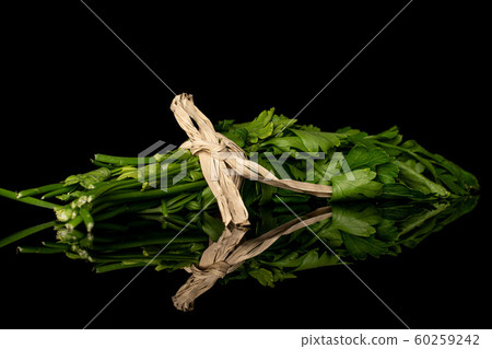 Flat leaf parsley isolated on black glass Flat leaf parsley isolated on black glass 60259242