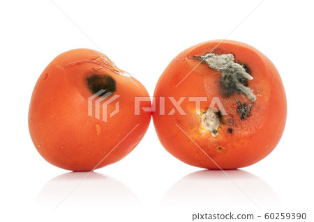 Red stale tomato isolated on white 60259390
