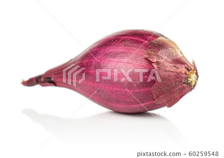 Small red onion bulb isolated on white Small red onion bulb isolated on white 60259548