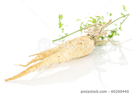 White parsley root isolated on white White parsley root isolated on white 60260440