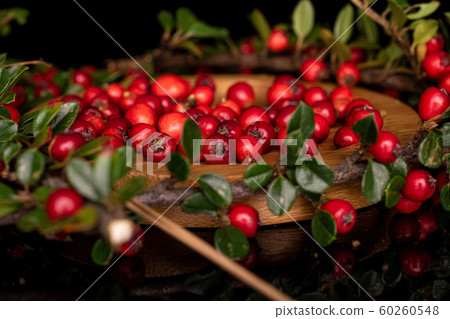 Wild red rowanberry isolated on black glass 60260548
