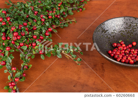 Wild red rowanberry on cognac leather 60260668