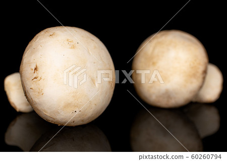Fresh white mushroom isolated on black glass Fresh white mushroom isolated on black glass 60260794