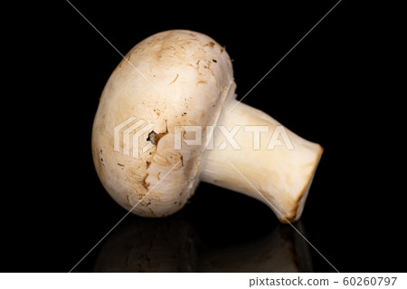 Fresh white mushroom isolated on black glass 60260797