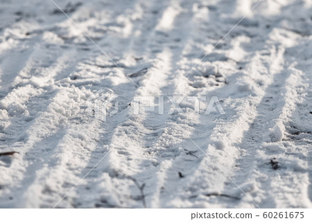 Tracks from the tread of bicycle tires on the snow Tracks from the tread of bicycle tires on the snow 60261675