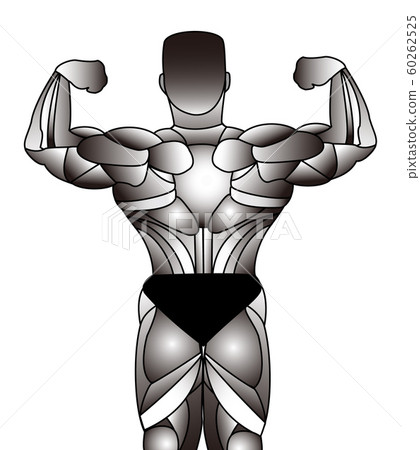 Bodybuilder 60262525