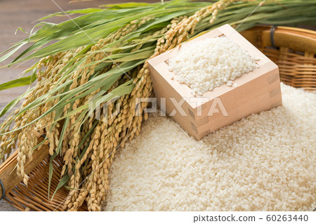Rice  60263440