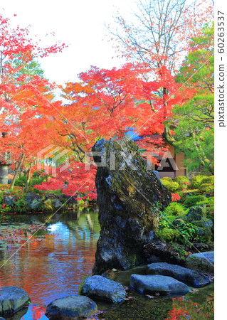 Kyoto Daningken Autumn leaves 60263537