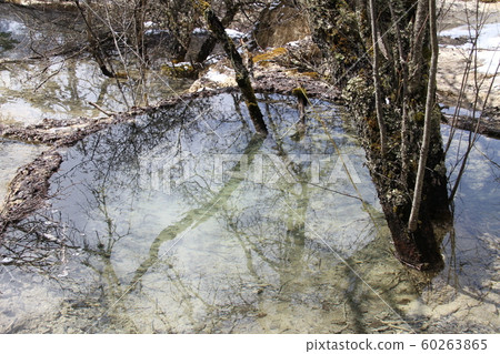 Chinese Jiuzhaigou, Huanglong scenery 60263865