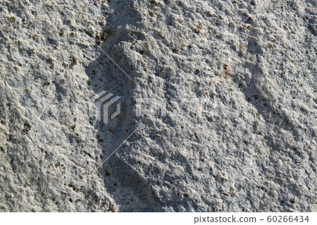 Rough rough skin Rough rough skin 60266434