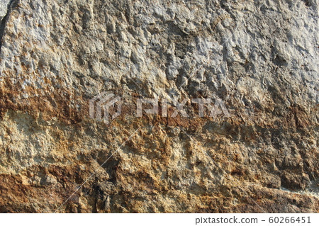 Rough rough skin Rough rough skin 60266451