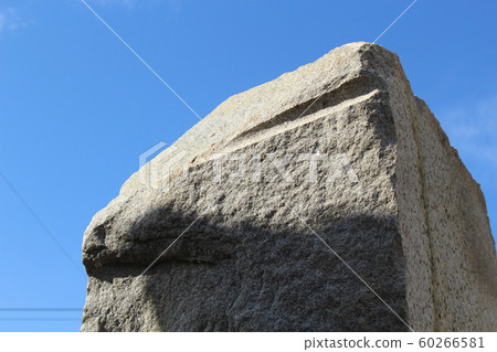 Rough rough skin Rough rough skin 60266581