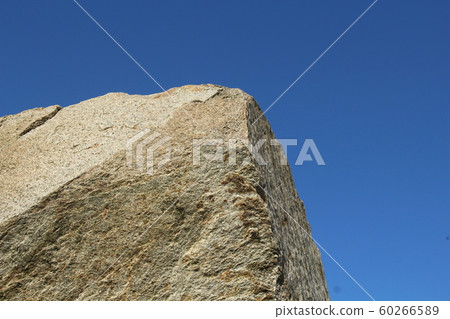 Rough rough skin 60266589