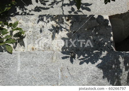 粗糙的皮膚 60266797