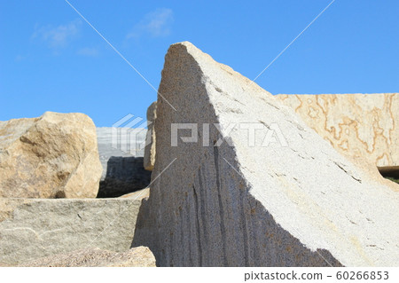 Rough rough skin 60266853