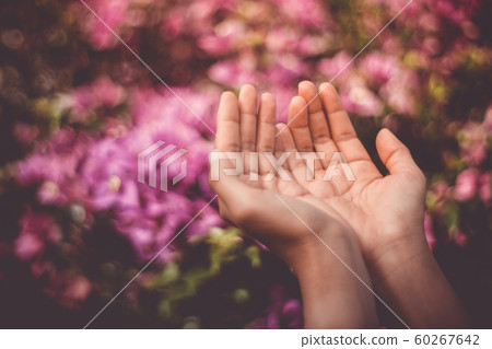 Woman hands place together like praying in front 60267642