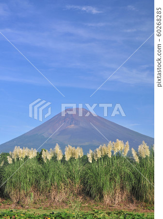 南美大草原玻璃和富士山4620 60268285