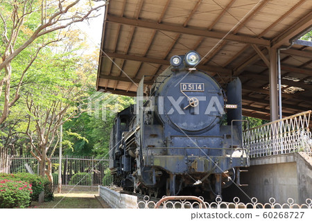 Conserved steam locomotive Conserved steam locomotive 60268727
