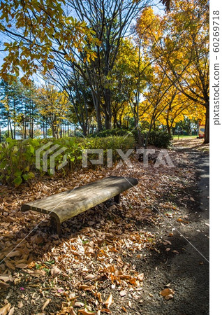 After noon in December Scenery of fallen leaves and benches in Kukishobu Park, Saitama Prefecture After noon in December Scenery of fallen leaves and benches in Kukishobu Park, Saitama Prefecture 60269718