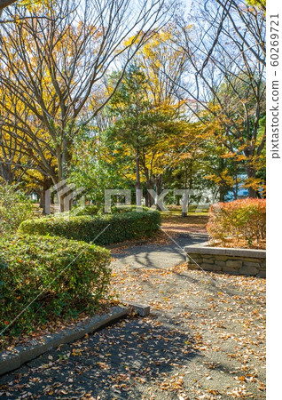 12月中午之後，Sa玉縣久喜生部公園的秋冬景觀 60269721