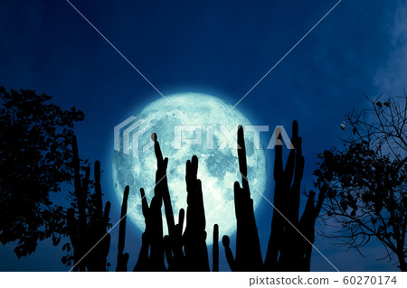 full oak moon on night sky and white cloud and full oak moon on night sky and white cloud and 60270174