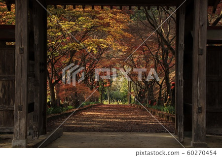 門框 門框 60270454
