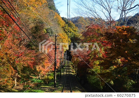 12月：高尾山上的秋葉和八王子45。 60270875