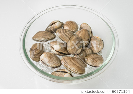 Japanese clams in the Hokkaido area 60271394