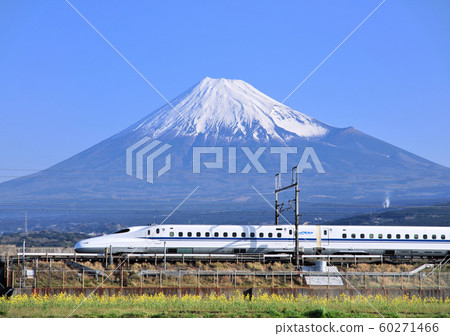 新幹線和富士山5319 60271466