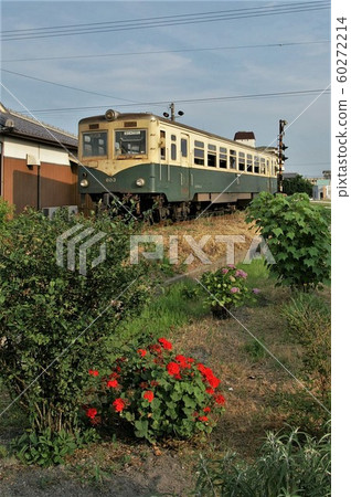 紀州鐵路(舊車:目前未行駛)和歌山 紀州鐵路(舊車:目前未行駛)和歌山 60272214
