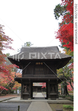 Hirabayashi Temple Autumn Leaves (Saitama Prefecture) Hirabayashi Temple Autumn Leaves (Saitama Prefecture) 60272302