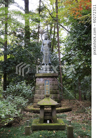 rin林寺（Sa玉縣）的秋葉 60272311